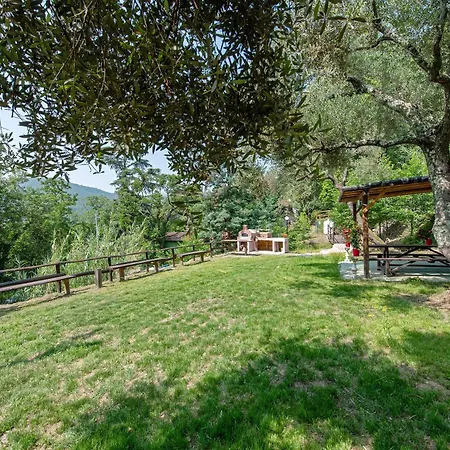 La Liguria Tra Gli Ulivi 2 Kır Evi