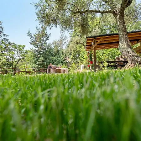 La Liguria Tra Gli Ulivi 2 Kır Evi *