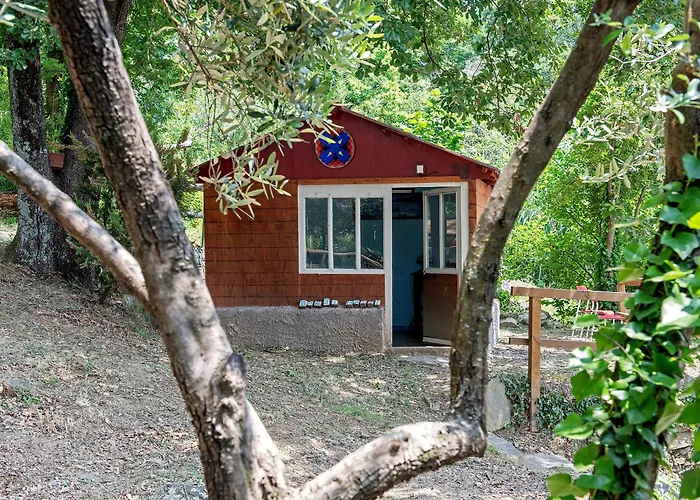La Liguria Tra Gli Ulivi 2 Landhaus *