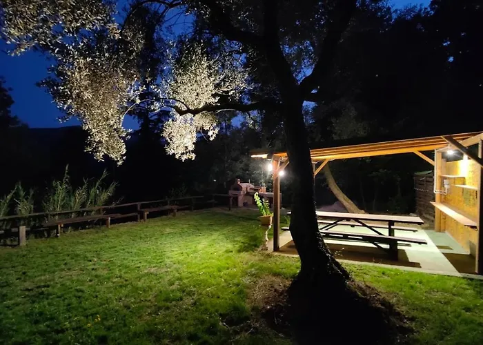 La Liguria Tra Gli Ulivi 2 Varraze