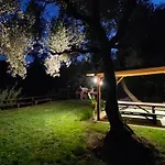 La Liguria Tra Gli Ulivi 2