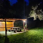 La Liguria Tra Gli Ulivi 2