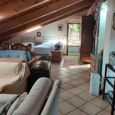 La Liguria Tra Gli Ulivi 2