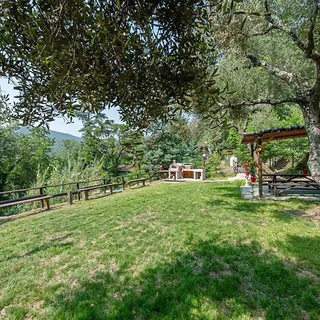 La Liguria Tra Gli Ulivi 2 Варацце