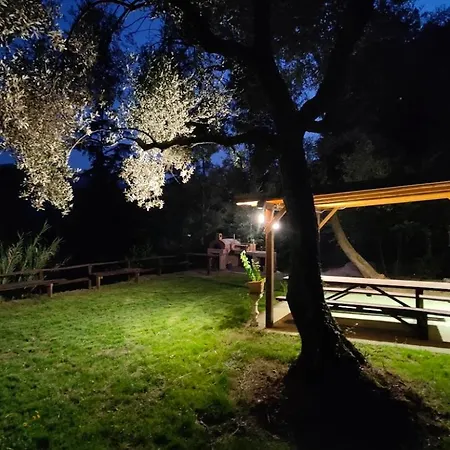 La Liguria Tra Gli Ulivi 2 Варацце