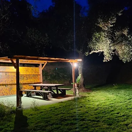 La Liguria Tra Gli Ulivi 2 * Varazze