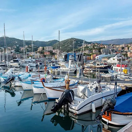 La Liguria Tra Gli Ulivi 2 *
