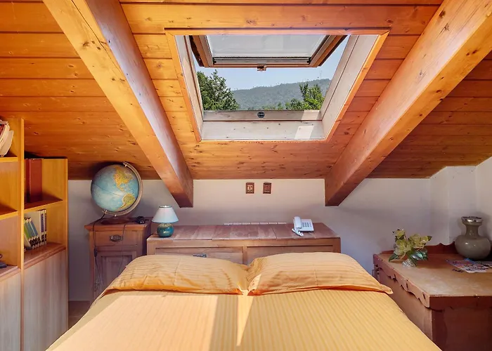 La Liguria Tra Gli Ulivi 2