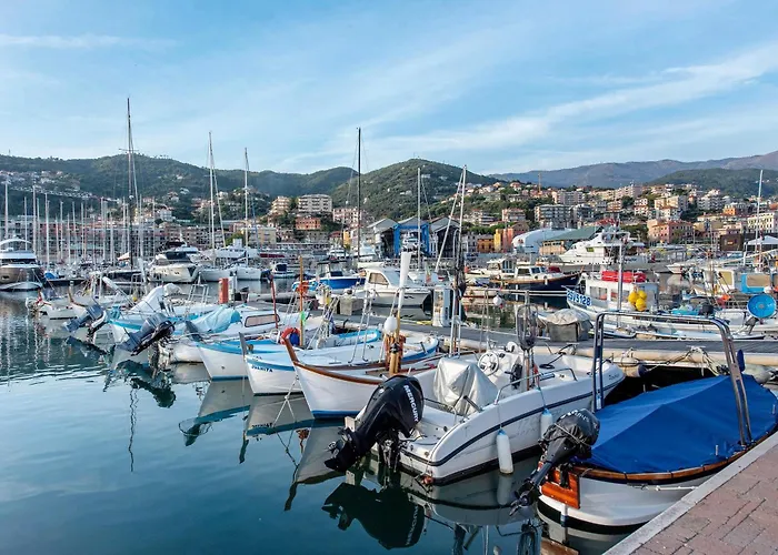 La Liguria Tra Gli Ulivi 2