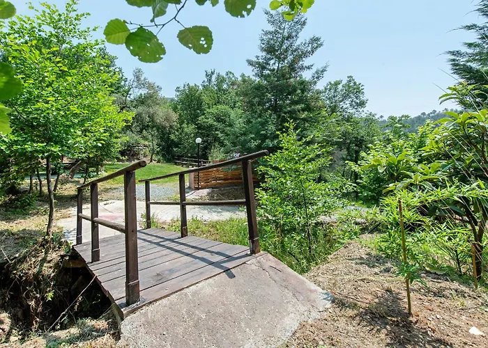 La Liguria Tra Gli Ulivi 2 Country house *