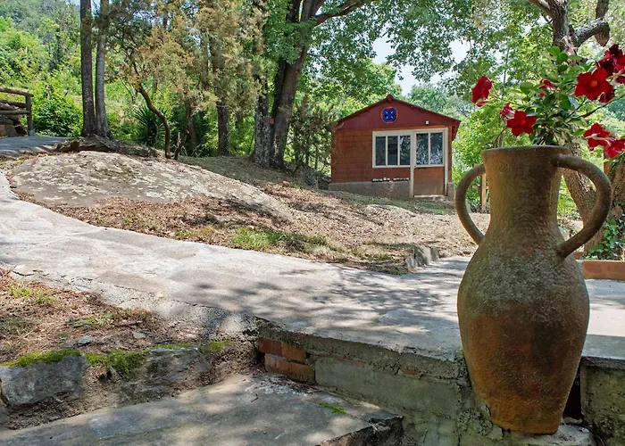 La Liguria Tra Gli Ulivi 2 *